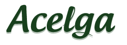 Acelga