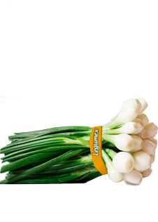 Cebolla cambray