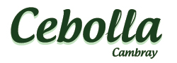 Cebolla cambray