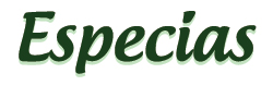 Especias
