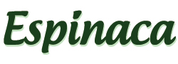 Espinacas en Mexico