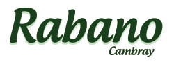 Rabanos cambray en mexico